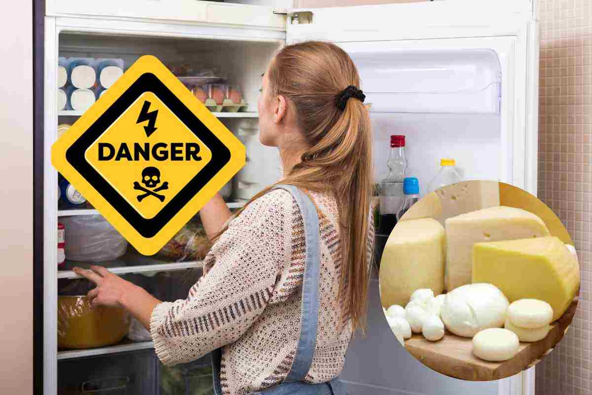 Conservazione sicura dei formaggi nel frigorifero