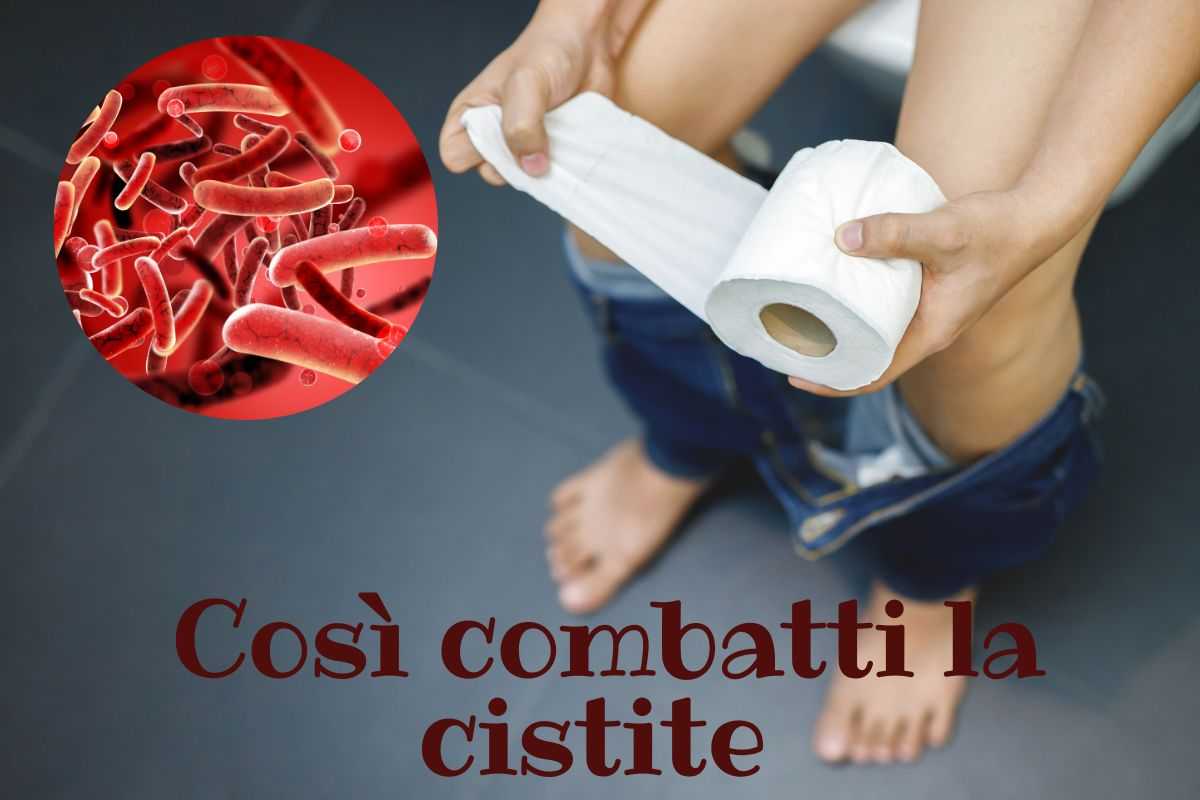 Cosa mangiare quando si ha la cistite- Intaste.it