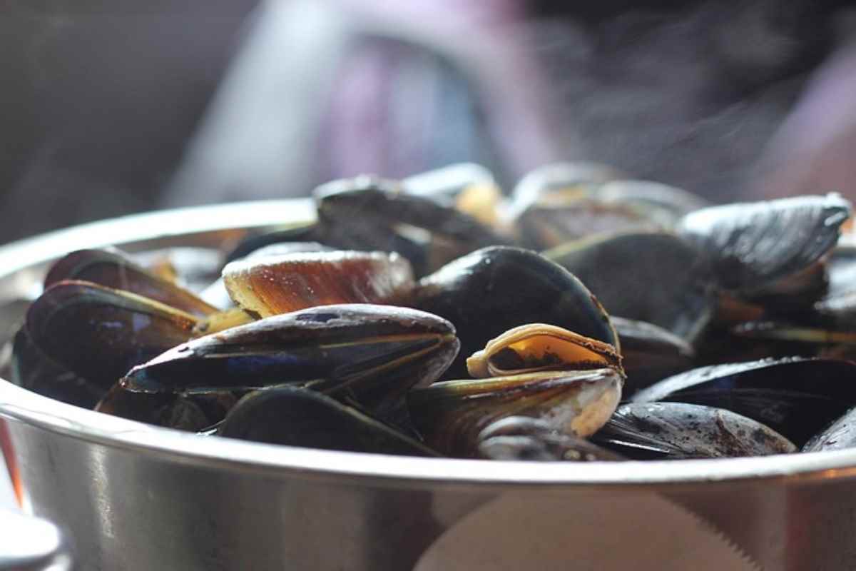 Cozze, uno dei molluschi più versatili ma...fritte le avete mai mangiate? Creano dipendenza