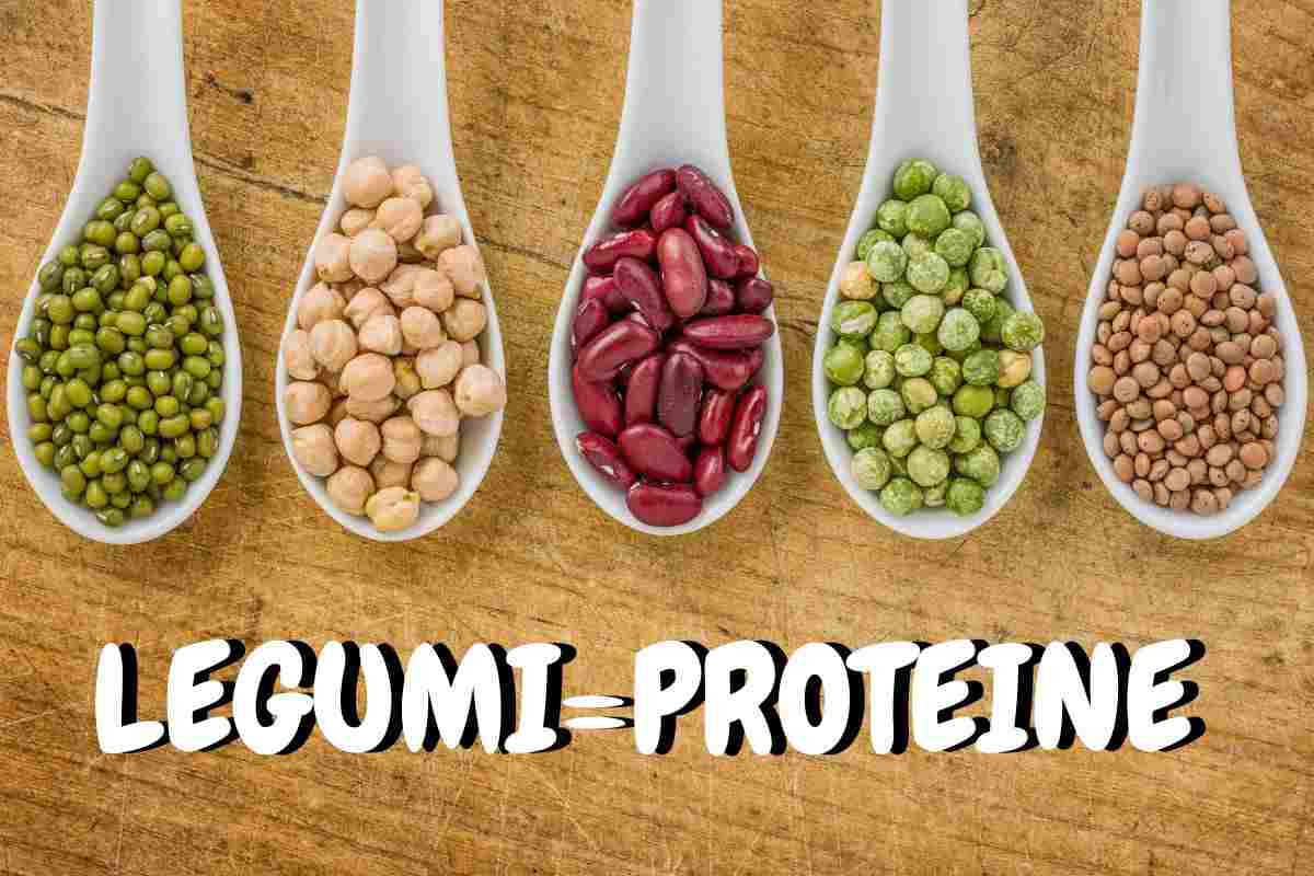Legumi come fonte di proteine (Intaste.it)