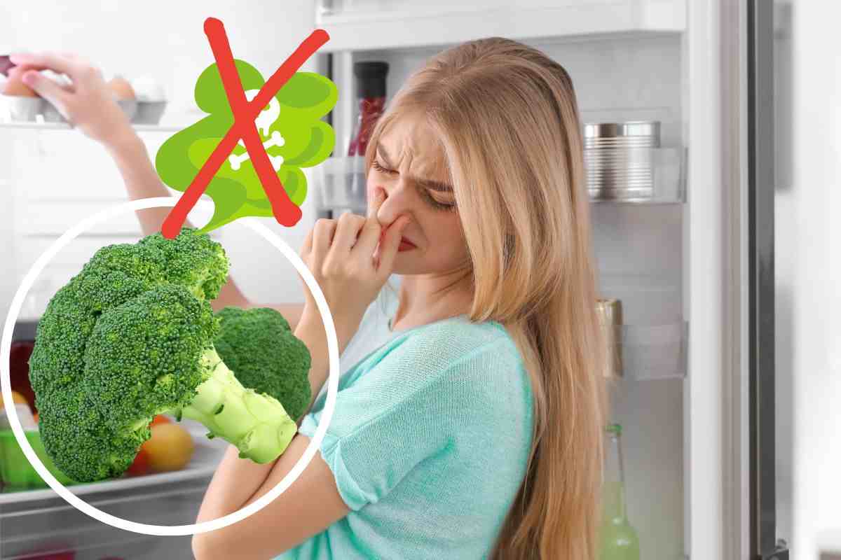Trucchetti per ridurre il cattivo odore dei broccoli (Intaste.it)
