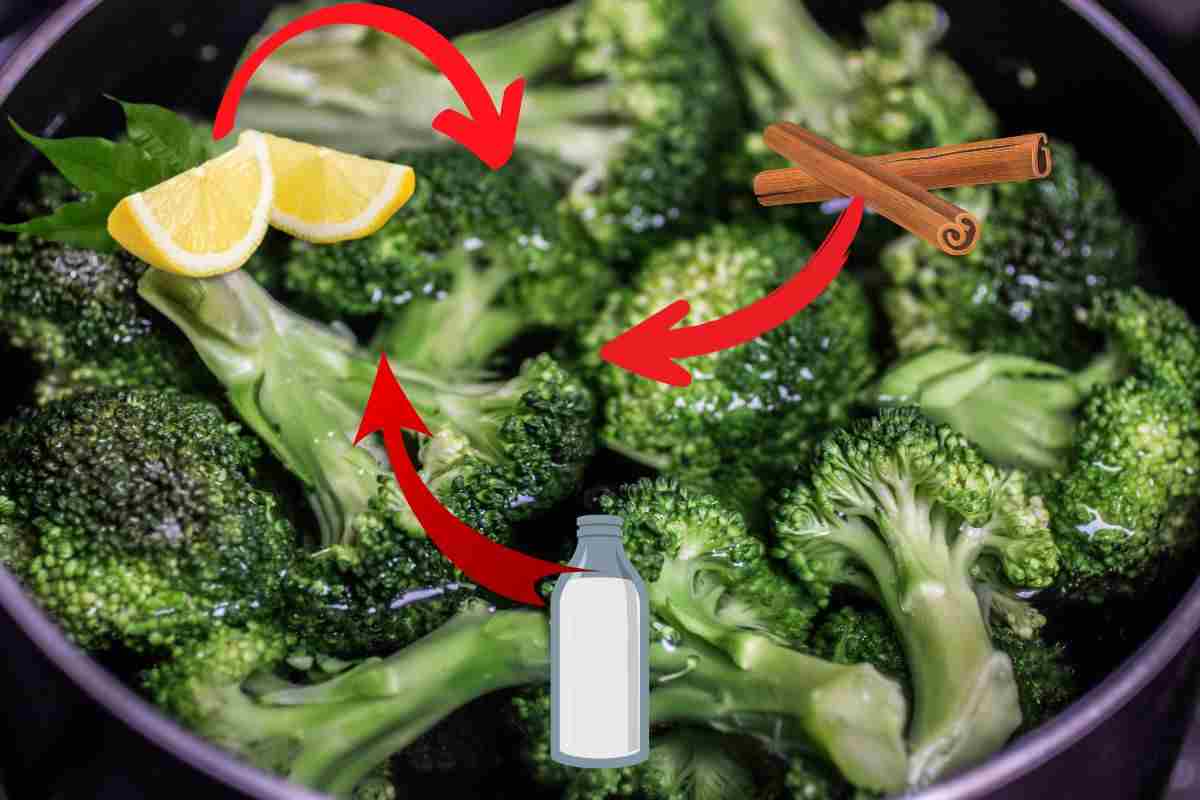 Trucchetti per ridurre il cattivo odore dei broccoli (Intaste.it)