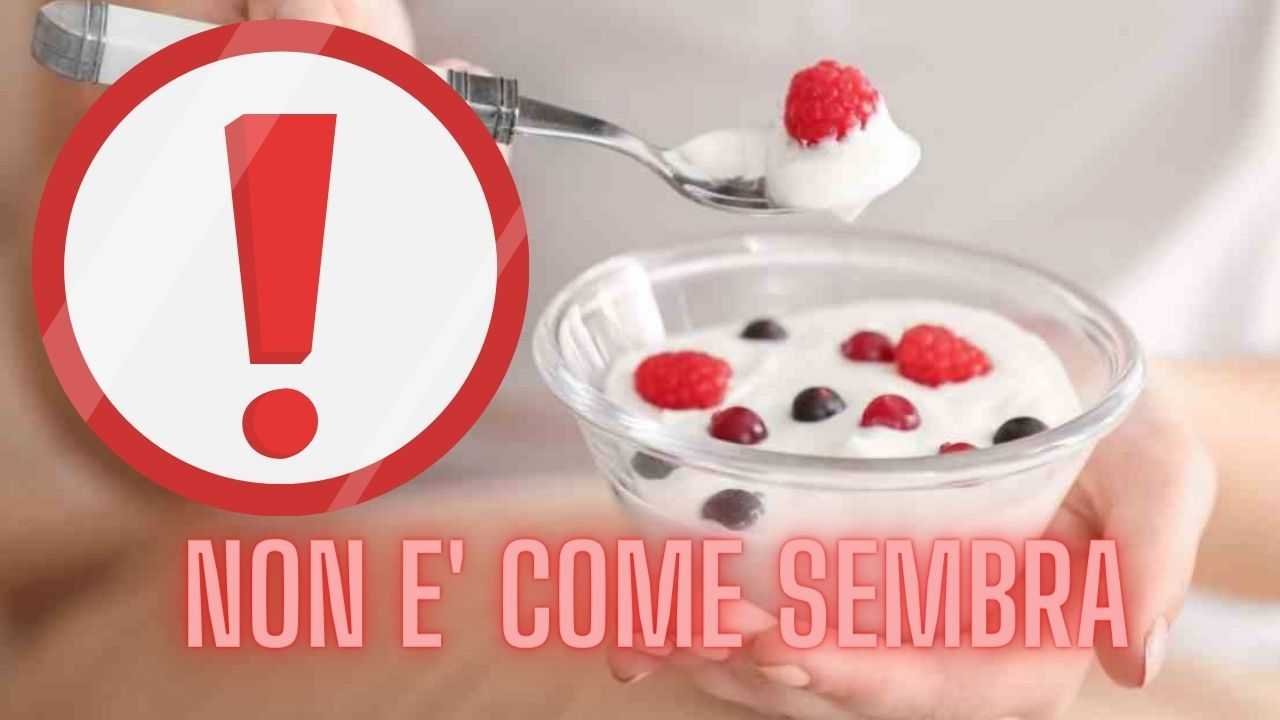 Yogurt, non è come sembra (intaste.it)