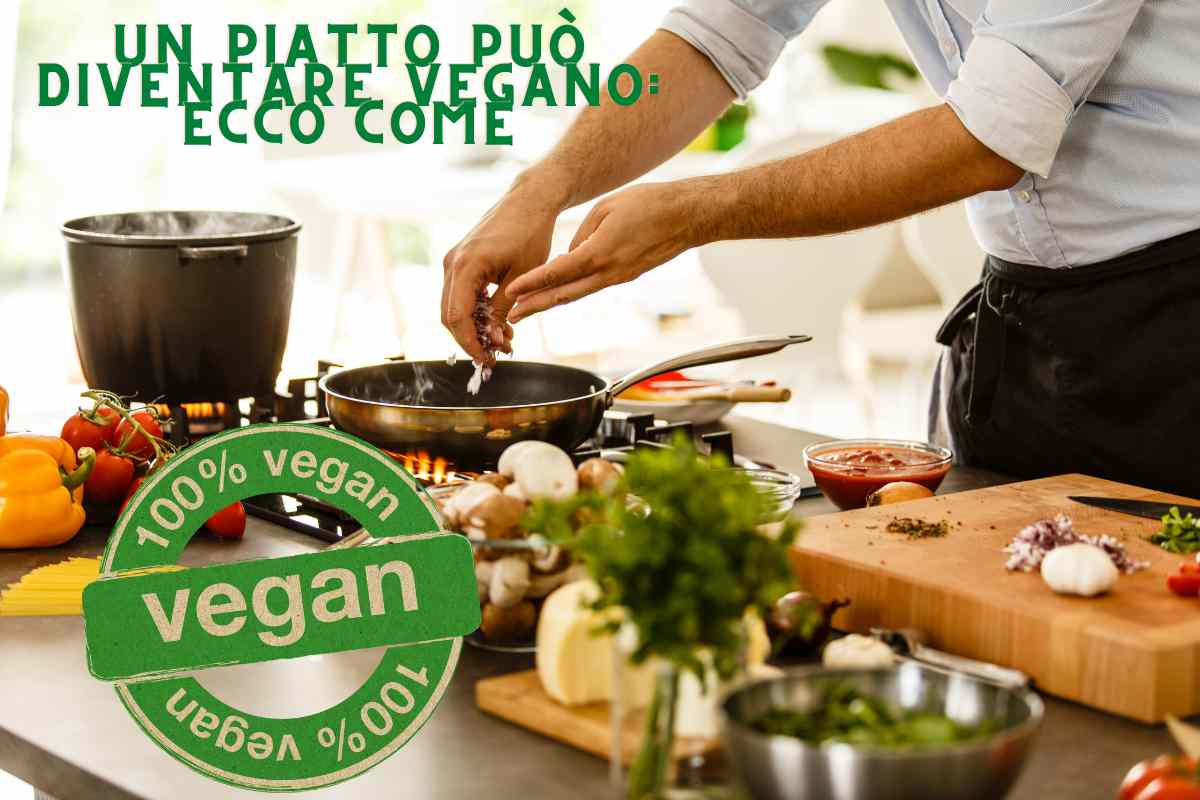 piatto vegano