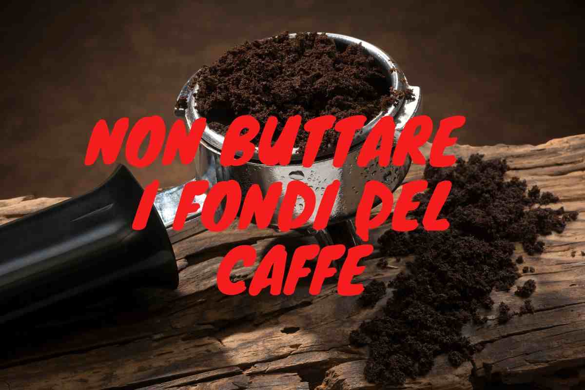 Come riutilizzare i fondi del caffè (Intaste.it)