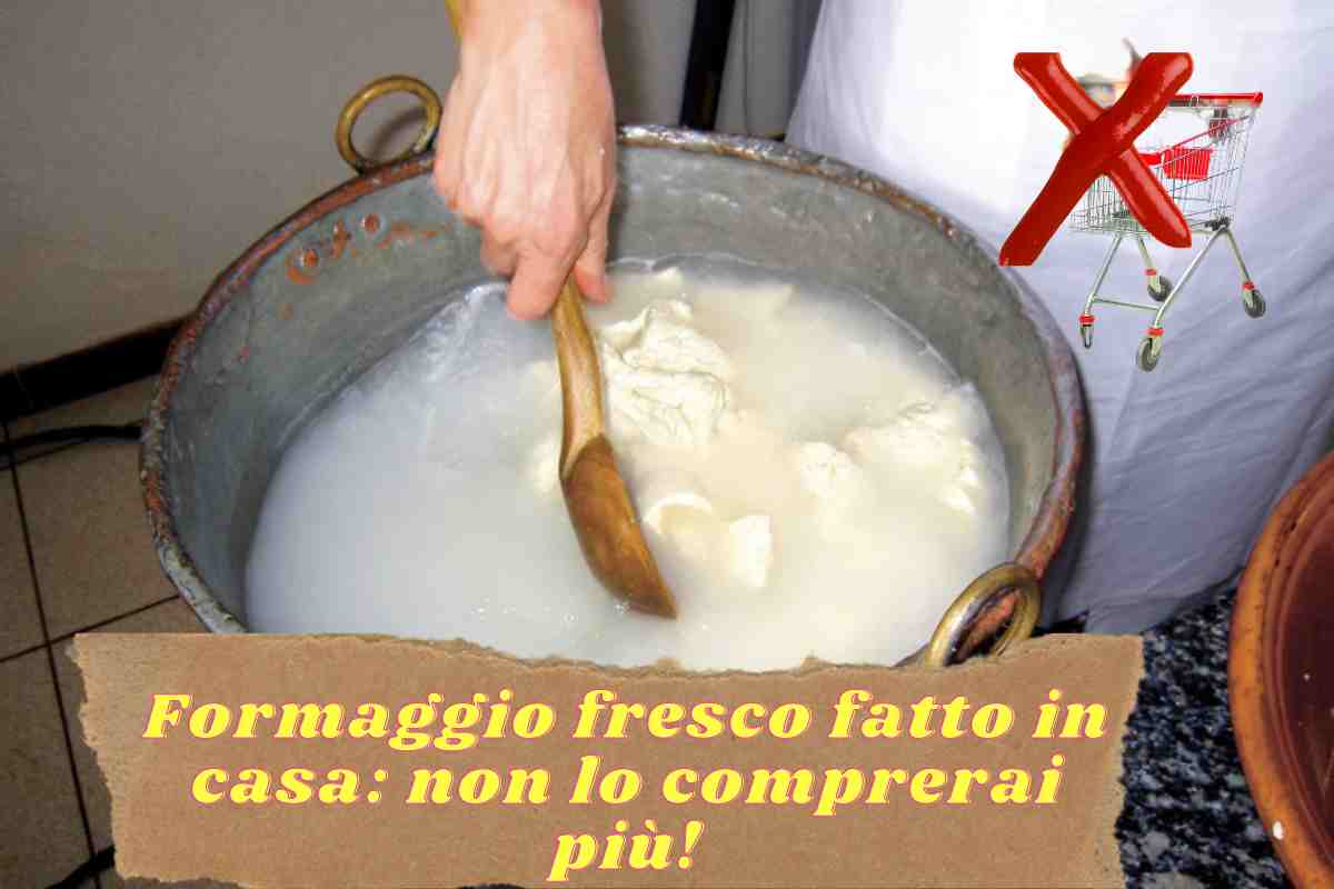 Formaggio fresco f