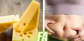 Il formaggio fa veramente ingrassare? La verità è emersa da uno studio