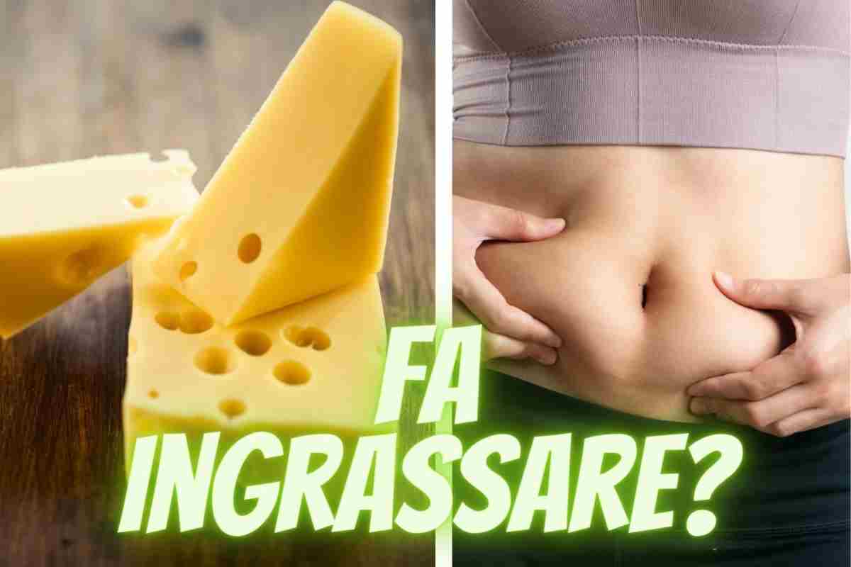 Il formaggio fa veramente ingrassare? La verità è emersa da uno studio