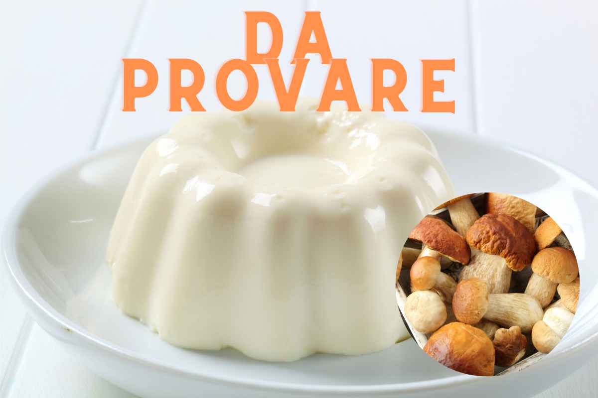 Panna cotta ai porcini, l'antipasto da servire in ogni occasione