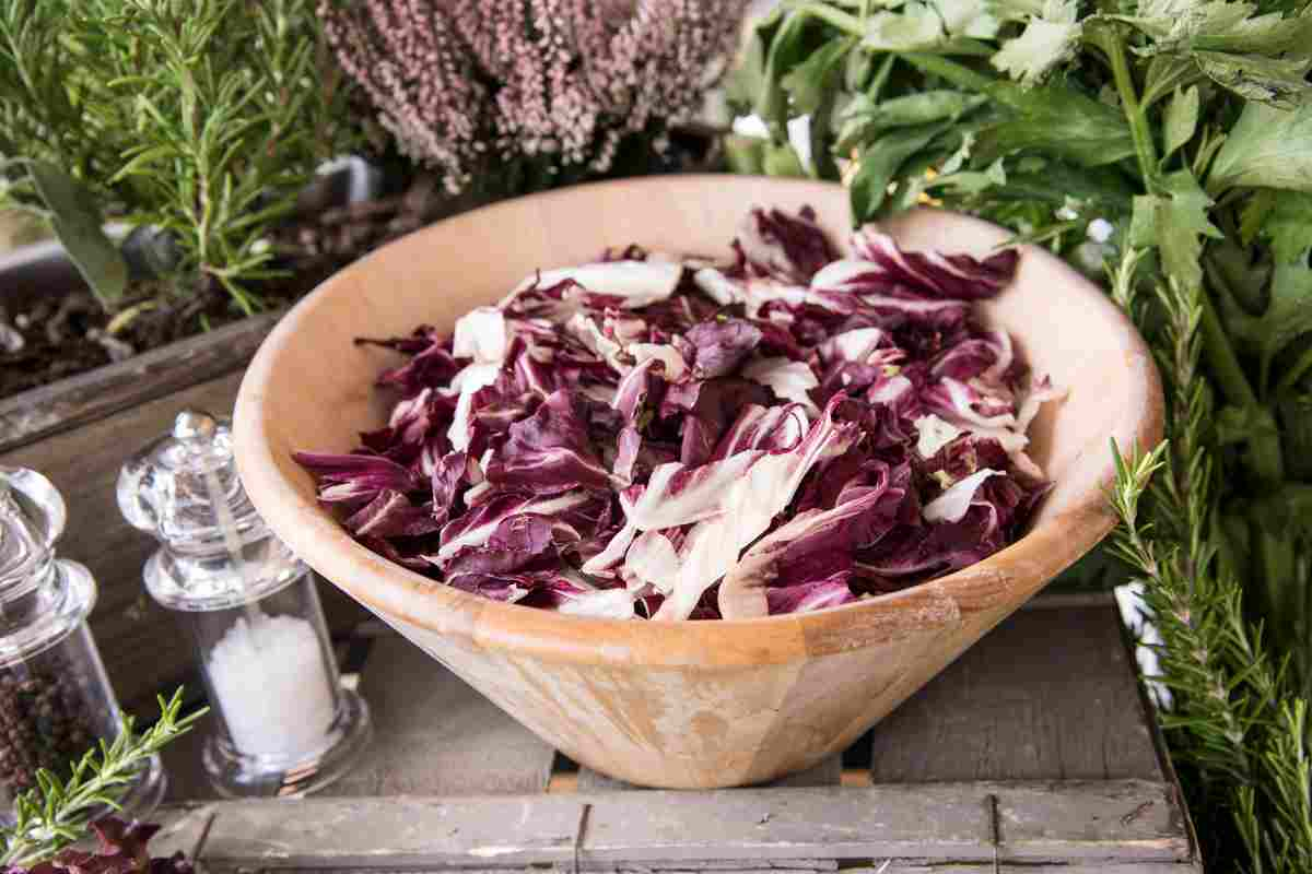 tutti i benefici del radicchio rosso