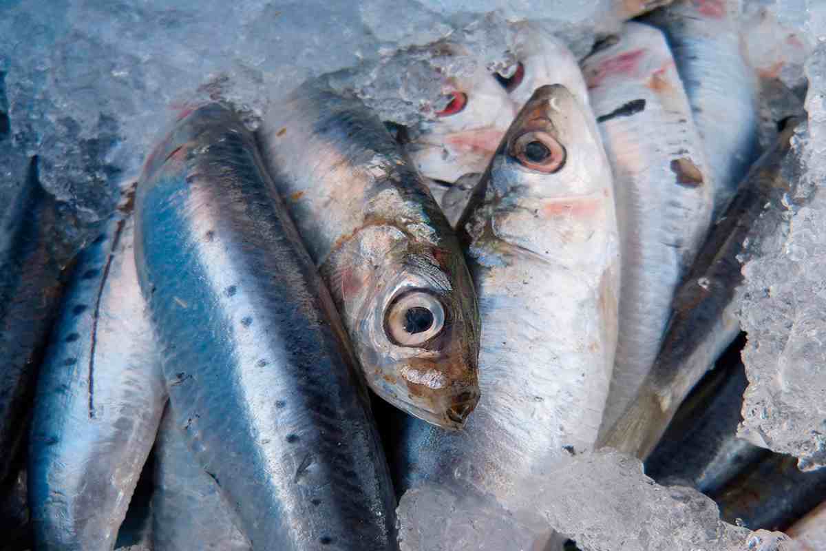 alerta alimentare pesce 