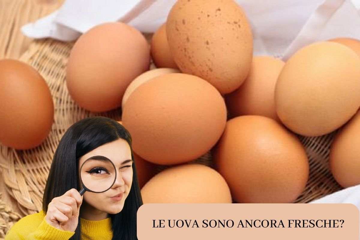 le uova sono fresche? 