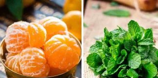 Il mandarino e la menta in infusione: benefici
