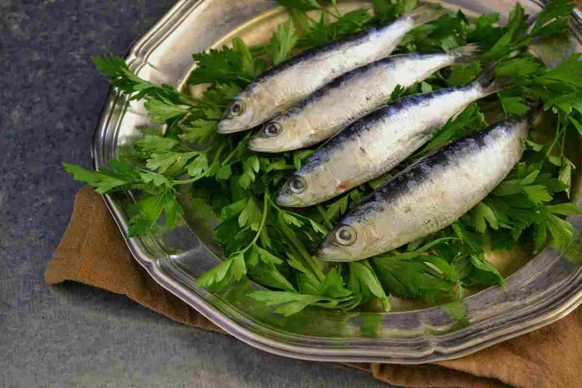 Utilizzare le sardine in cucina