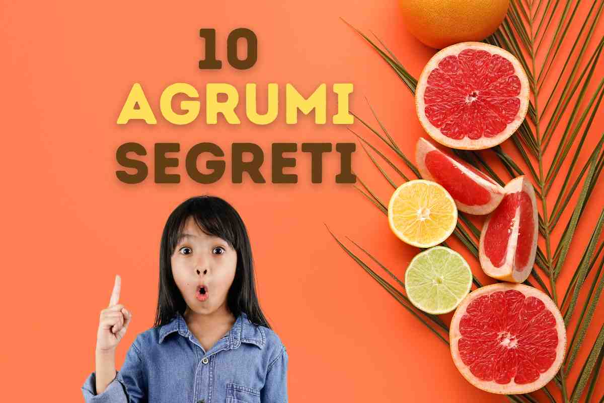 agrumi segreti sconosciuti