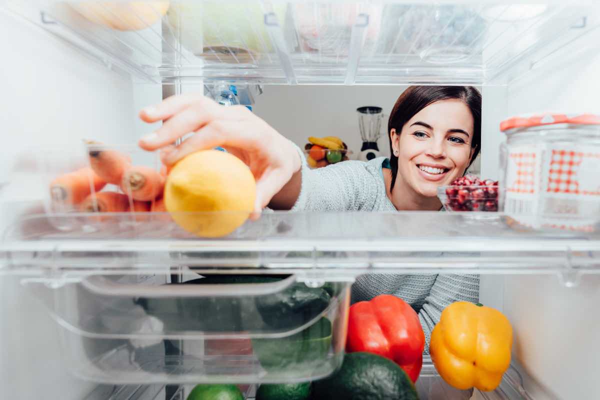 temperature del frigo, cambiano con le stagioni