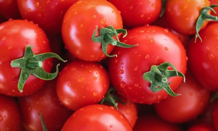 pasta con pomodori, ricetta unica 