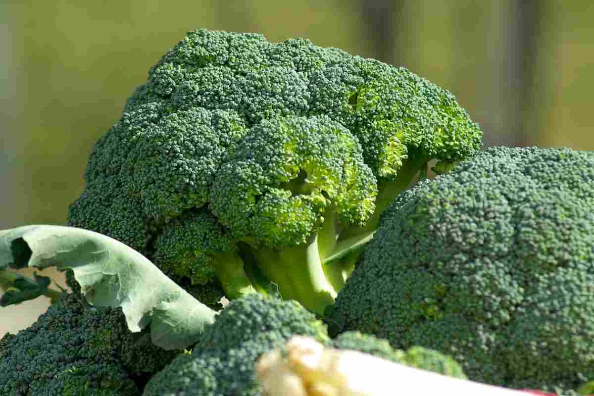 Broccoli, perché non lessarli