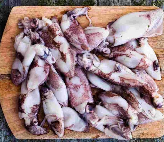 Ricetta calamari ripieni