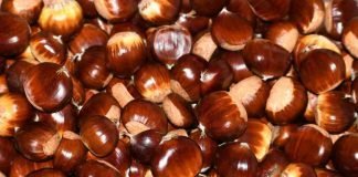 Acquistare delle buone castagne