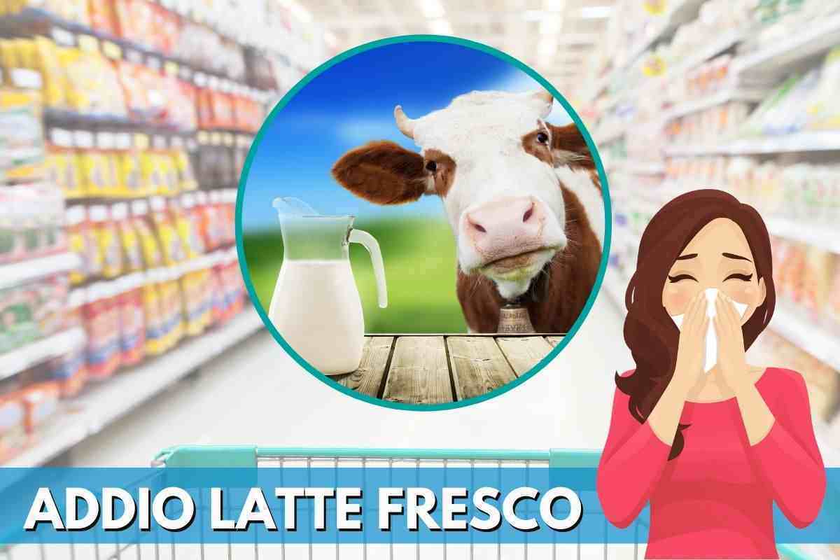 addio latte fresco, la scelta