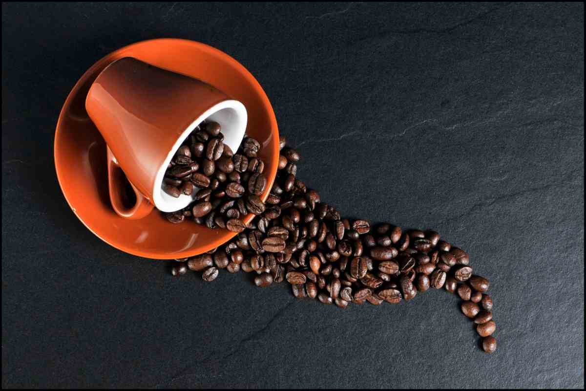 5 alternative valide al caffè