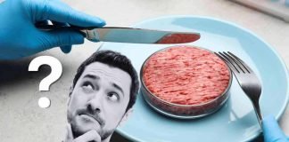 La carne sintetica fa bene alla salute?