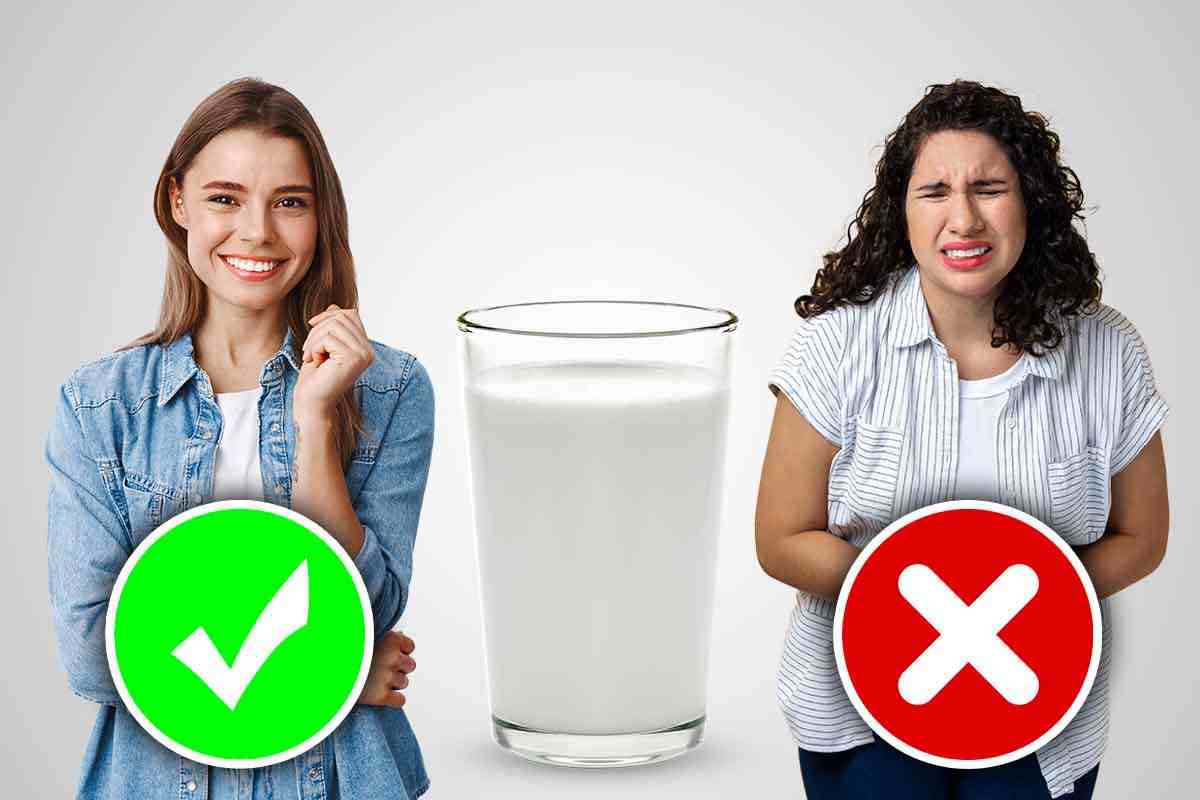 latte, chi può berlo e chi no