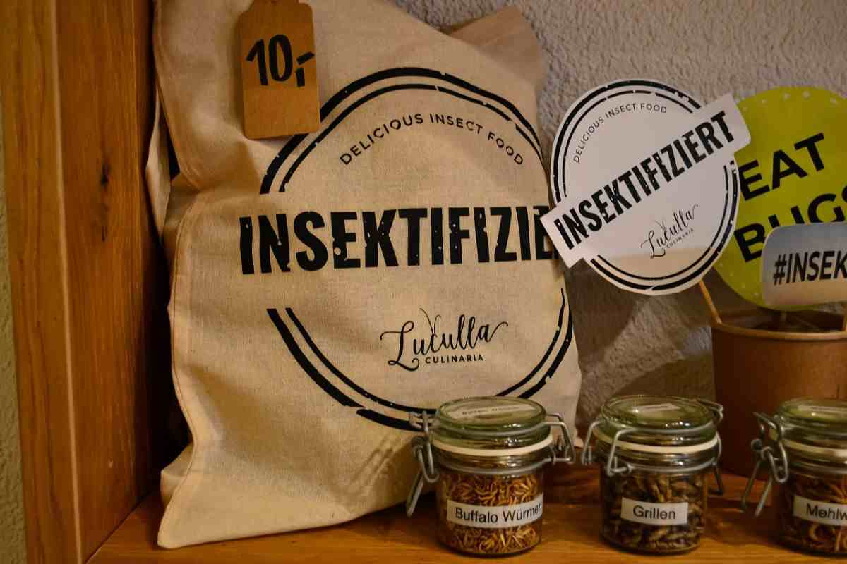 cibo e insetti, scelta governo