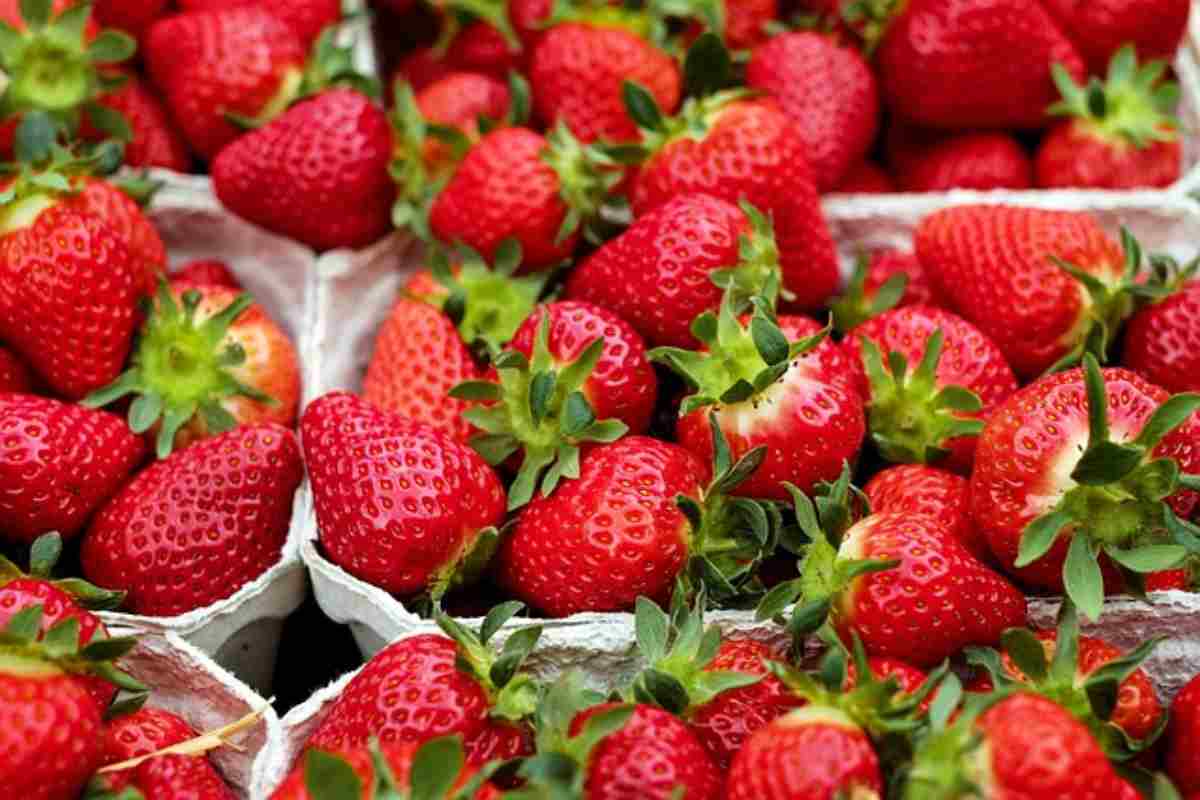 fragole, come si lavano correttamente 