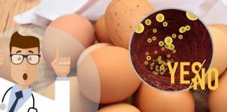 le uova fanno alzare il colesterolo