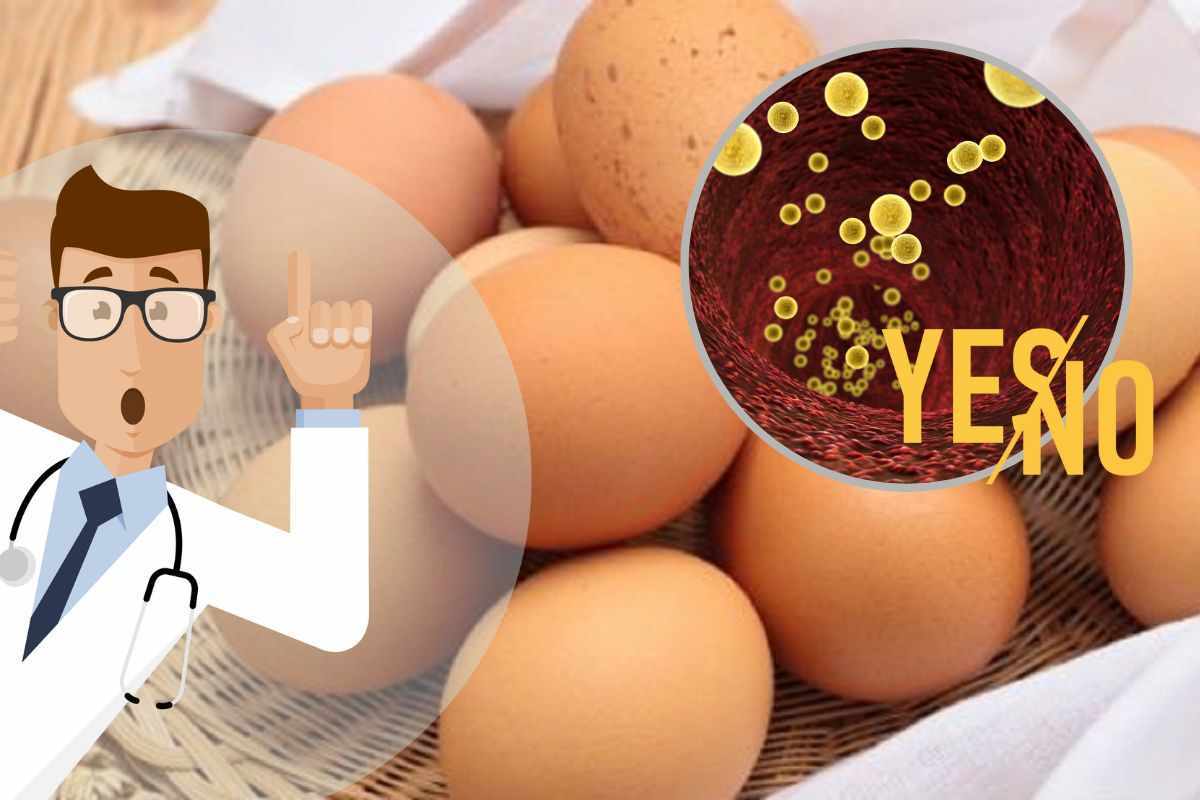 le uova fanno alzare il colesterolo 