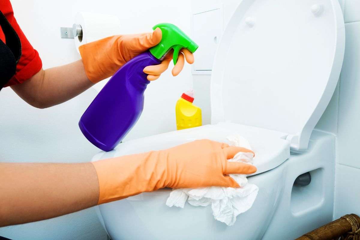 I metodi più efficaci per pulire il wc e renderlo brillante: devi farlo  periodicamente - InTaste