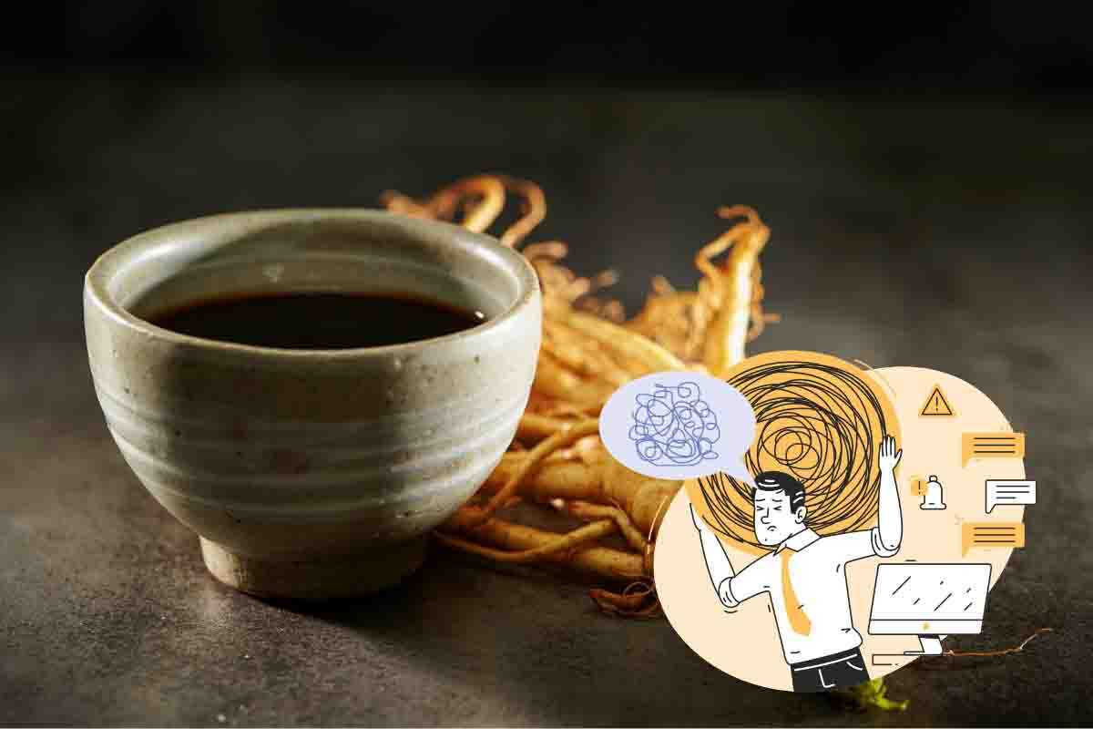 com'è fatto il caffè al ginseng 