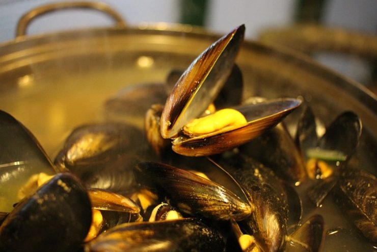 Cozze gratinate Cannavacciuolo ricetta