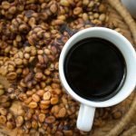 Come nasce il Kopi Luwak