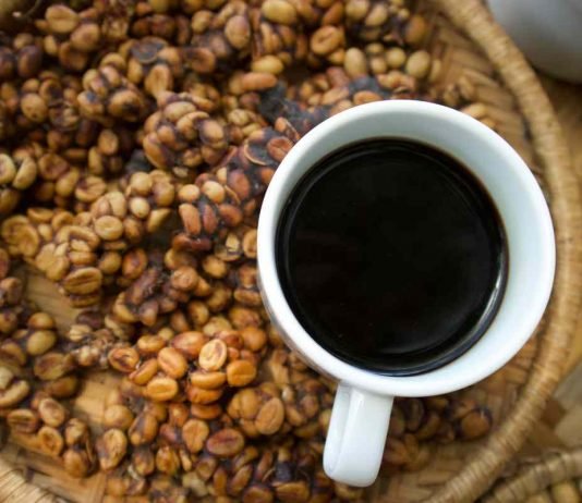 Come nasce il Kopi Luwak