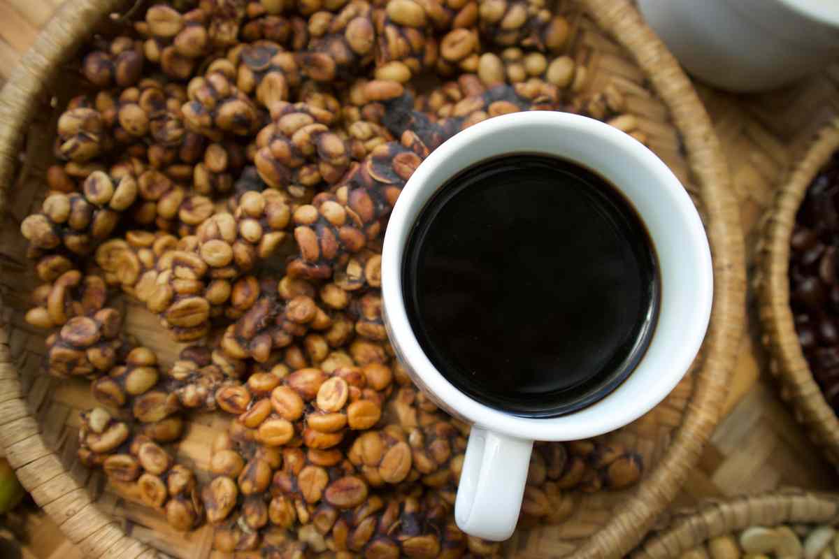 Come nasce il Kopi Luwak 