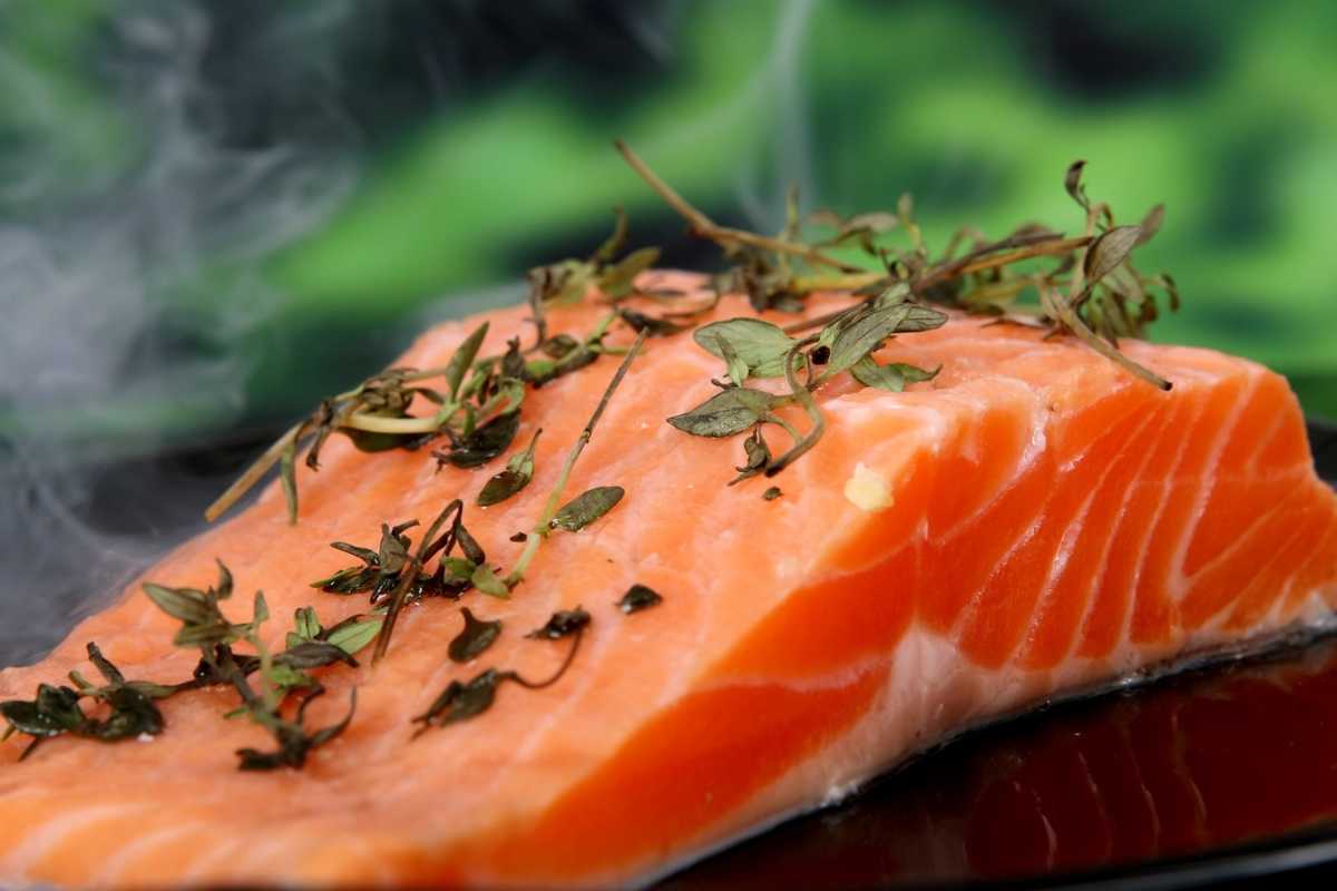 Salmone alternative economiche