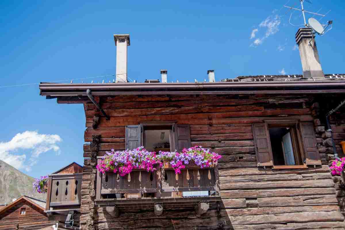 piante ideali per balcone fiorito estate