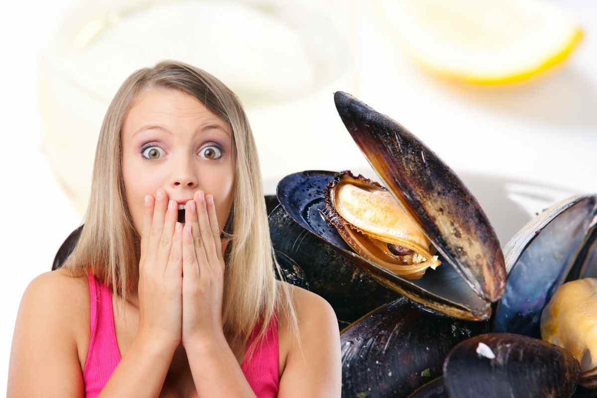 cozze fresche errore