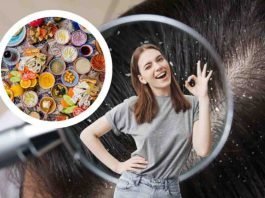 forfora alimentazione cibi