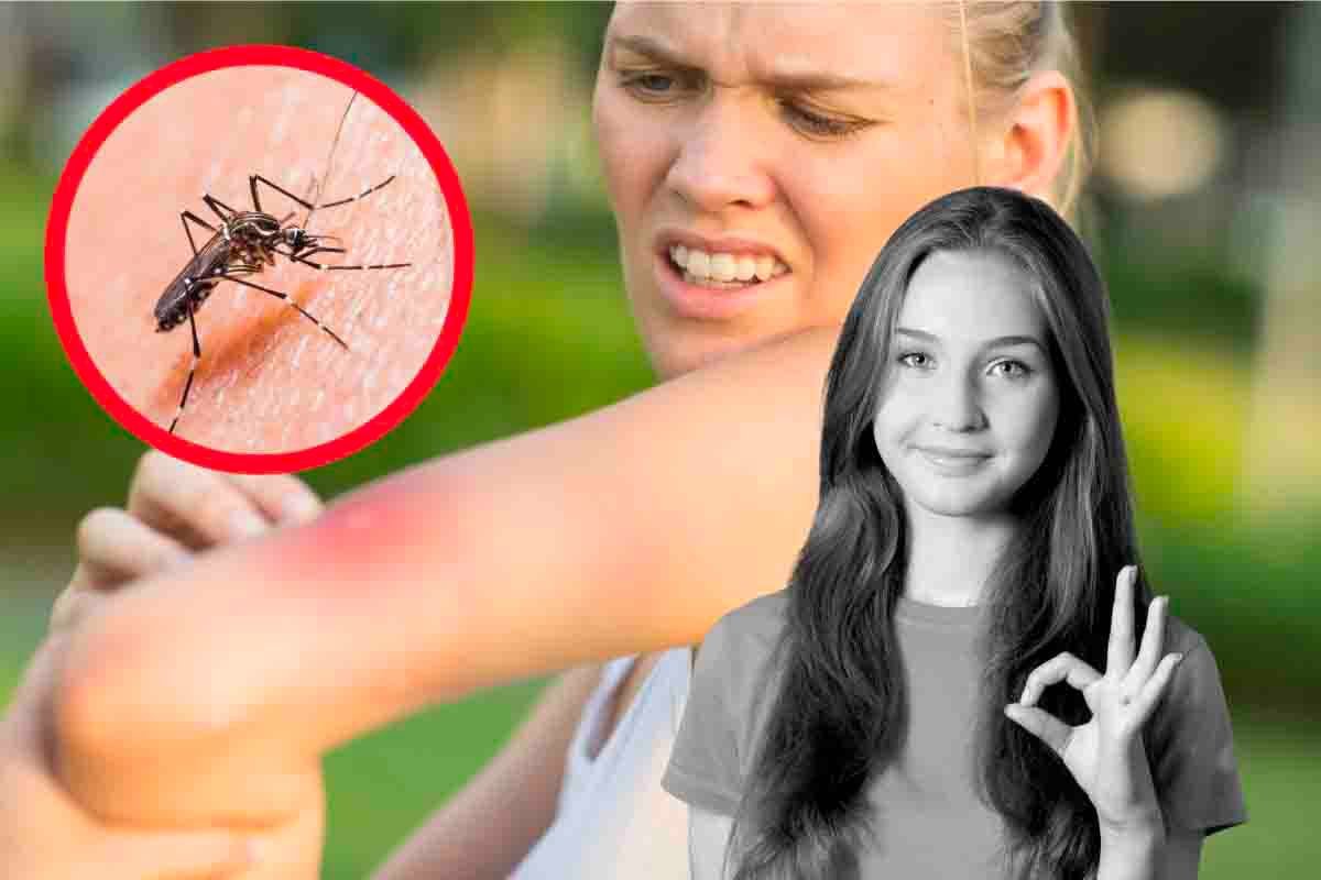 Punture di zanzara troppo fastidiose? Rimedia così