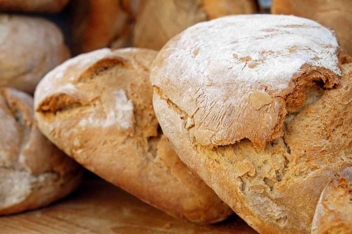 pane velocissimo ricetta