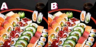 rompicapo visivo sushi