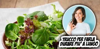 trucco per far durare l'insalata di più