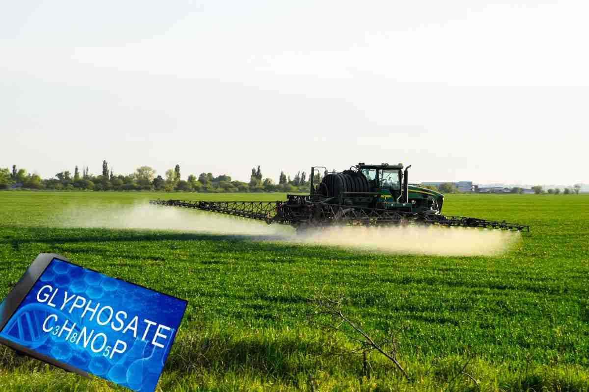 Attenzione al glifosato negli alimenti, danneggia la salute