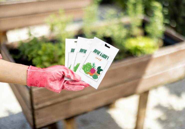 Le piante perfette per l'orto in casa