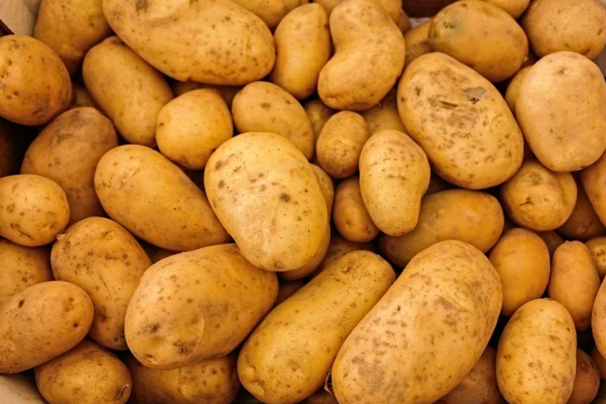 I procedimenti per congelare correttamente le patate