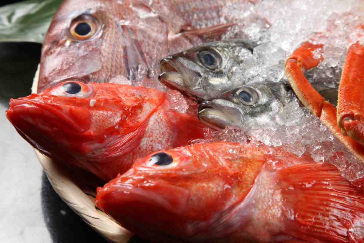 Non farti più fregare: ecco come si riconosce davvero il pesce fresco